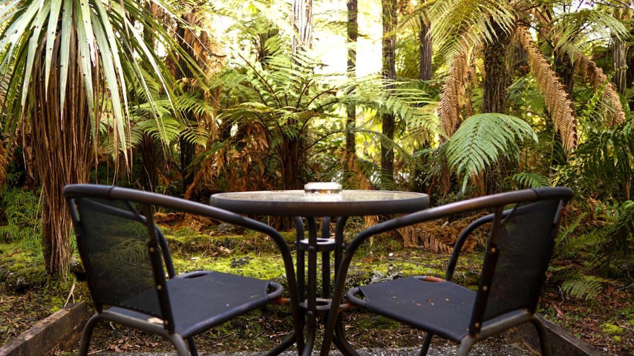 Punga Grove Franz Josef Exterior foto