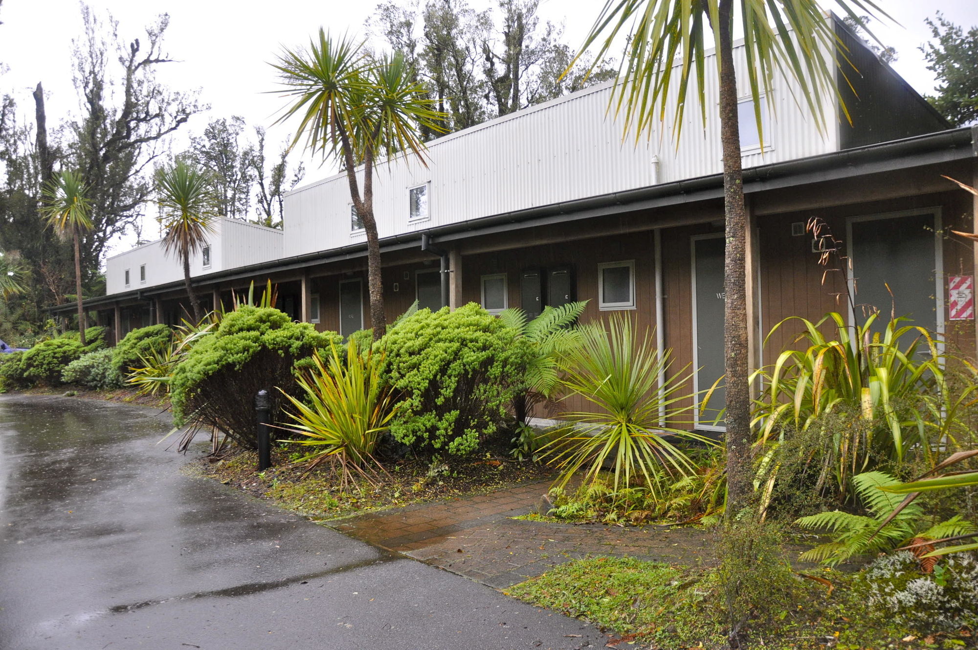 Punga Grove Franz Josef Exterior foto