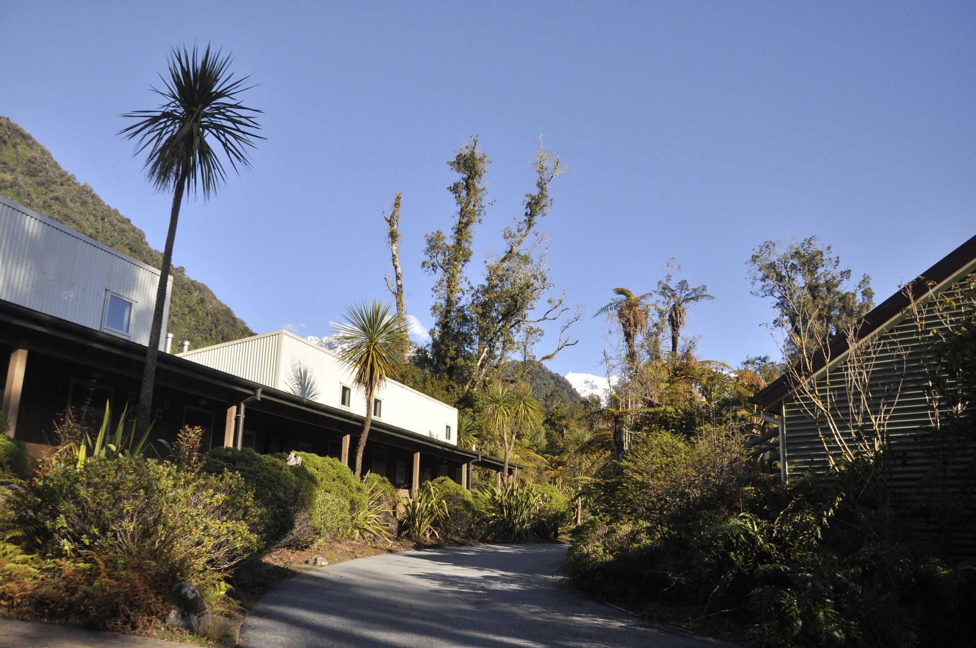 Punga Grove Franz Josef Exterior foto